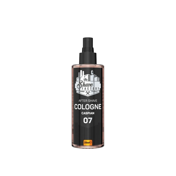 TSF AFTER SHAVE COLONIA CASPIAN 07 250 ml